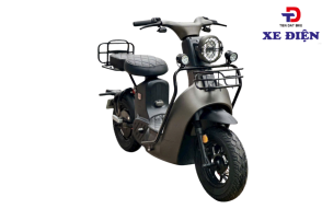 XE ĐẠP ĐIỆN 1